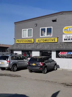 Professional Automotive