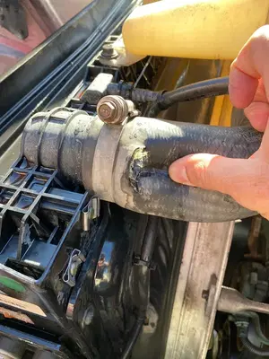 Black Label Repair
