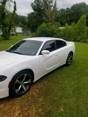 Capitol City Body Works