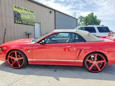 Buena Vista Tires