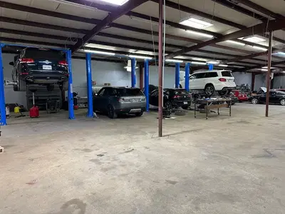 Paulie's VW Audi Specialist