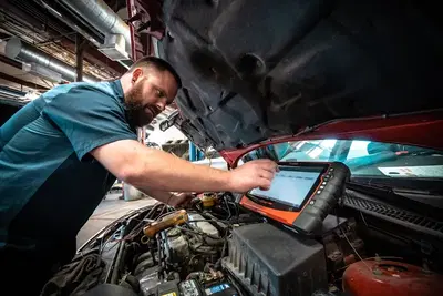 Wilhelm Automotive
