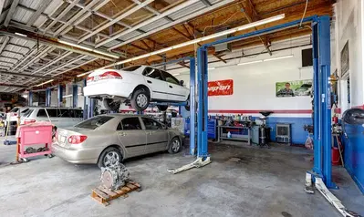 Business Photo