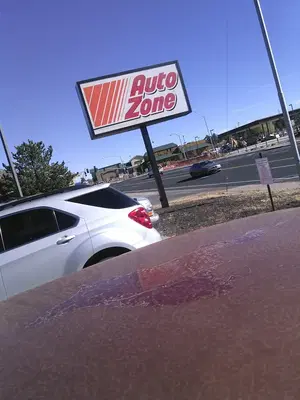 AutoZone Auto Parts