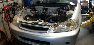 Import life Performance