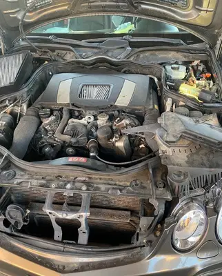 Business Photo