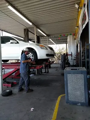 Dinosaur Tire