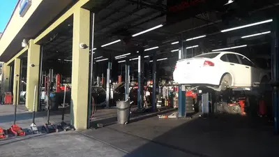 Plus 1 Performance
