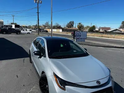 Expert Auto Collision