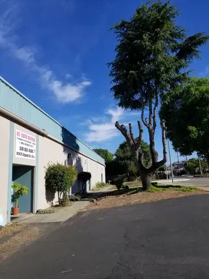 Business Photo