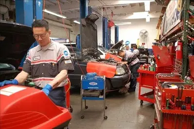 Business Photo
