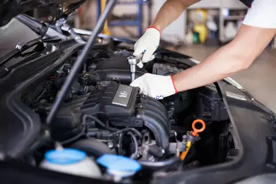 Freeport Automotive