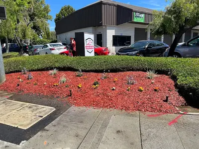 Business Photo