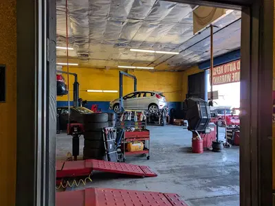 Beyer Supreme Tires
