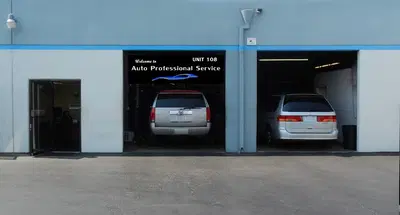 Auto Professional Service