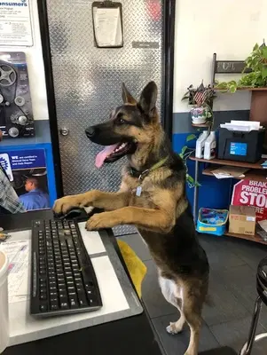 Business Photo