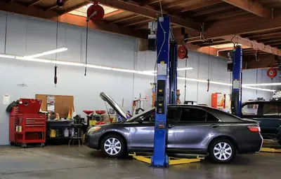 TNT Services