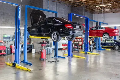 Rizzoli's Automotive