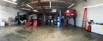 Bear Alignment and Brake