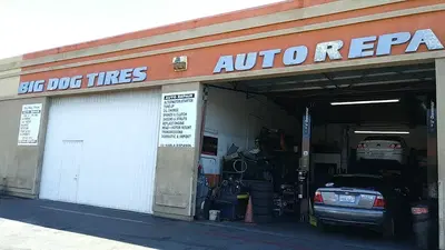 Big Dog Tires