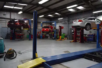 Motoring Specialists
