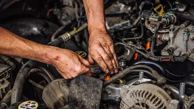 Shattuck's Automotive Inc.