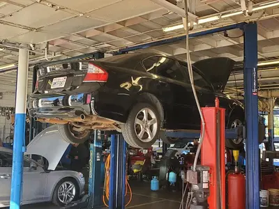 Purrfect Auto Service
