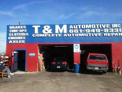 T & M AUTOMOTIVE INC.