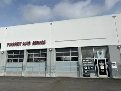 Business Photo
