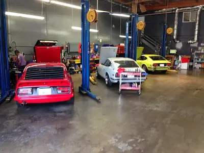 Saddleback Cars