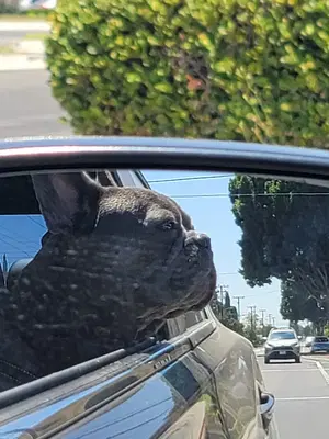 T H Auto