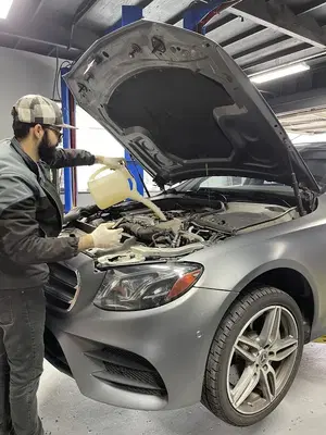 White Oak Mercedes