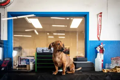 Business Photo