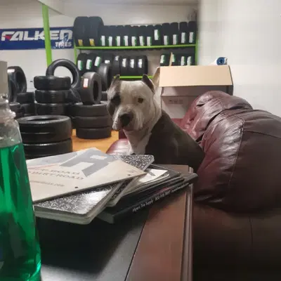 Business Photo