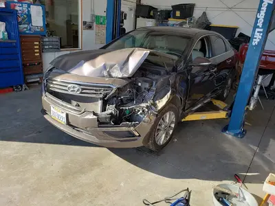 Dogwood Auto Body Inc.