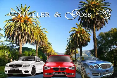 Muller and Goss Automotive repair