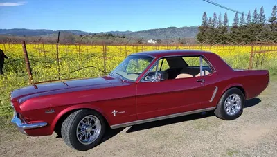Daniele's Classic Auto Body