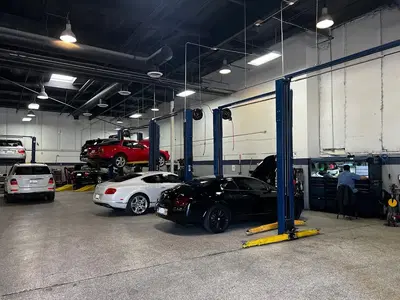 Star Motors European Service