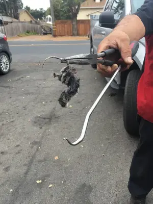 El Verano Auto Repair