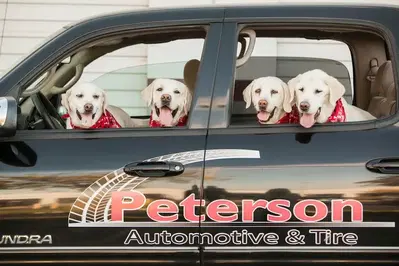 Peterson Automotive and Tire