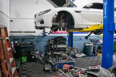 Performance Dynamic