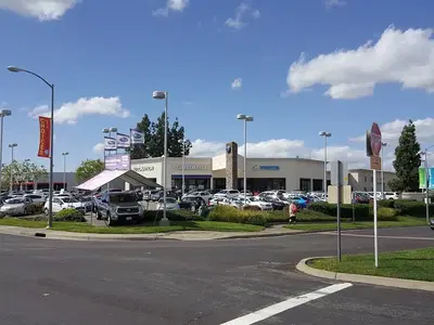 Business Photo
