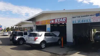 Smog Check Tokay Shell
