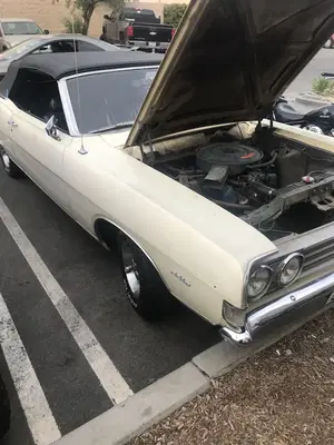 Road Runnrer's Automotive