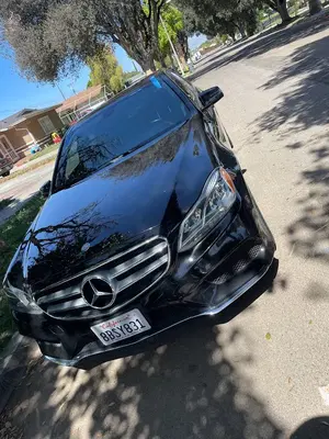 Senior Tech Auto Glass