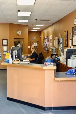 Business Photo