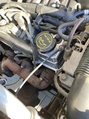 Pro-Auto Toyota Specialist