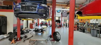 European MotorSports: Porsche, Mercedes, BMW, Audi, Mini Cooper, VW & Sprinter