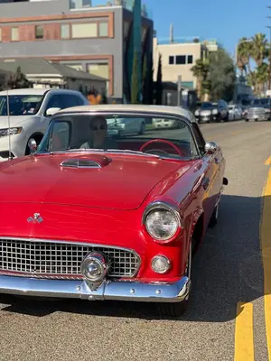 William Leaf Automotive