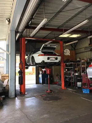 Foreign Sport Technician